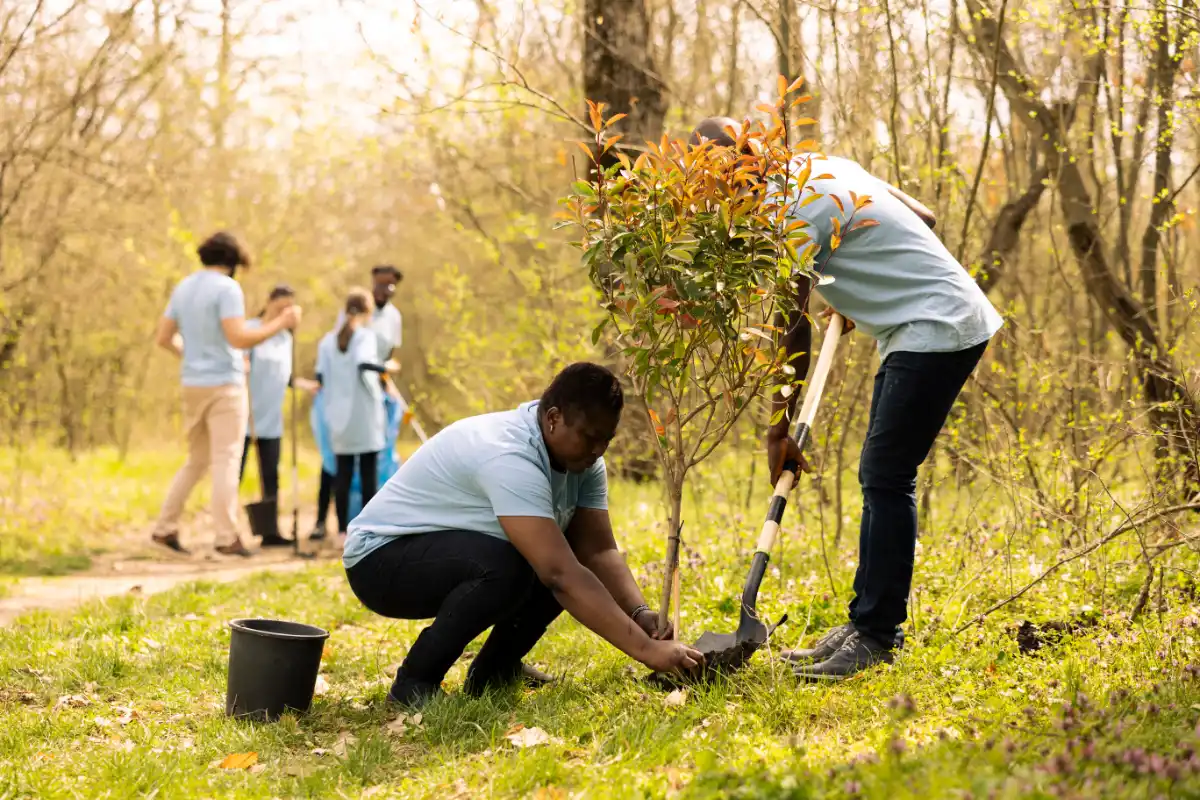 team volunteering planting trees